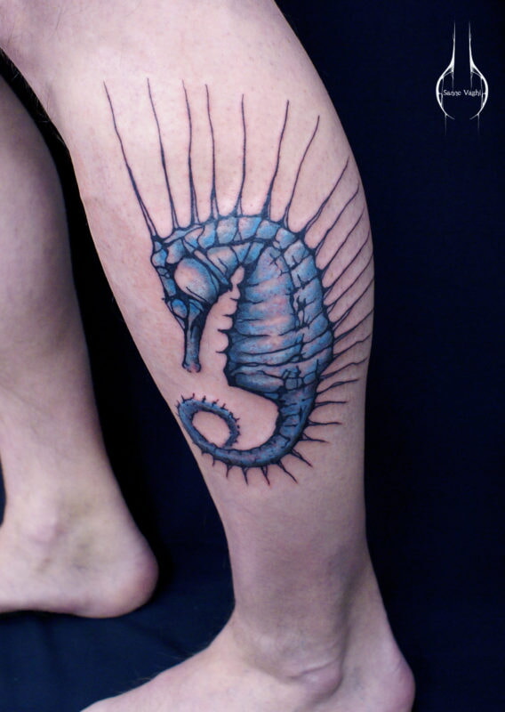 deadseahorse